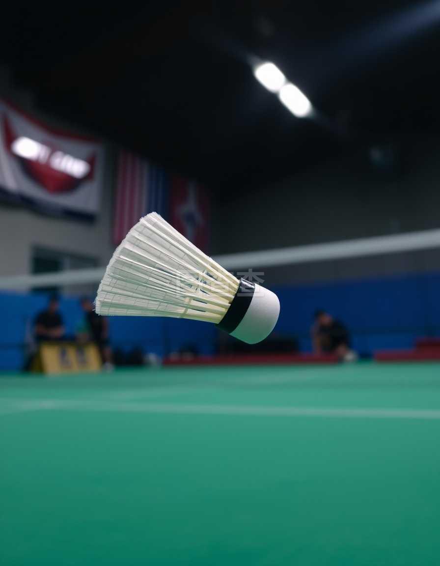 的悲剧收尾 的悲剧收尾